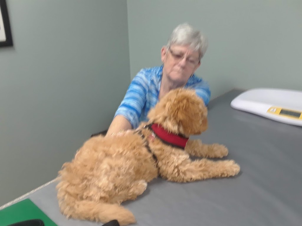 Hanover Veterinary Hospital | 18th Ave, Hanover, ON N4N 0B8, Canada | Phone: (519) 364-6772