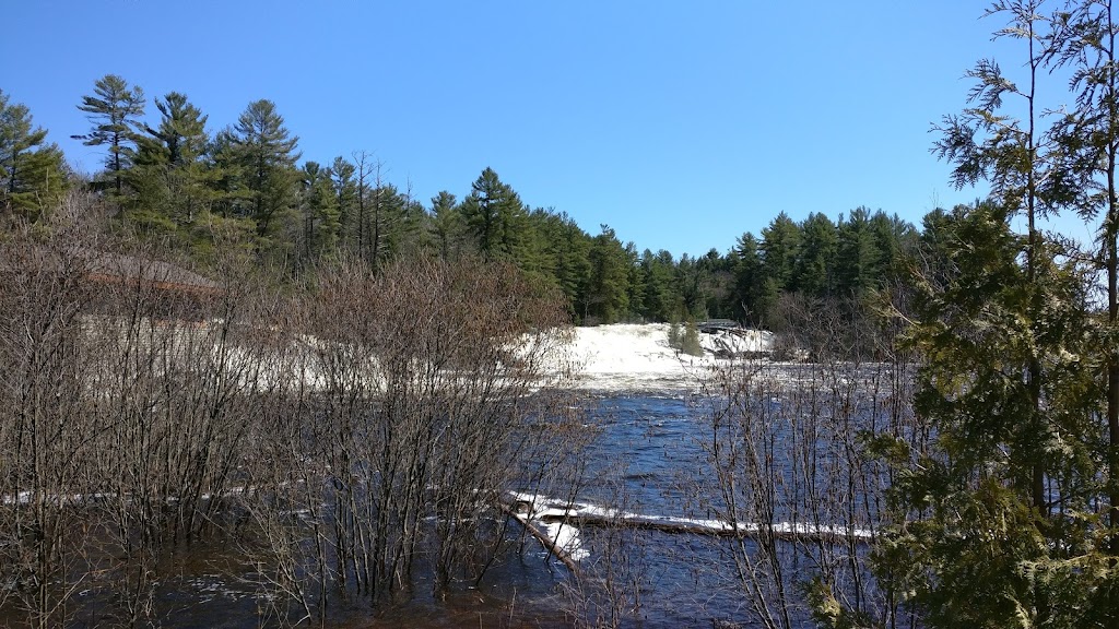 Fran Janes RMT | 459 Wilsons Falls Rd, Bracebridge, ON P1L 2G9, Canada | Phone: (705) 645-5510