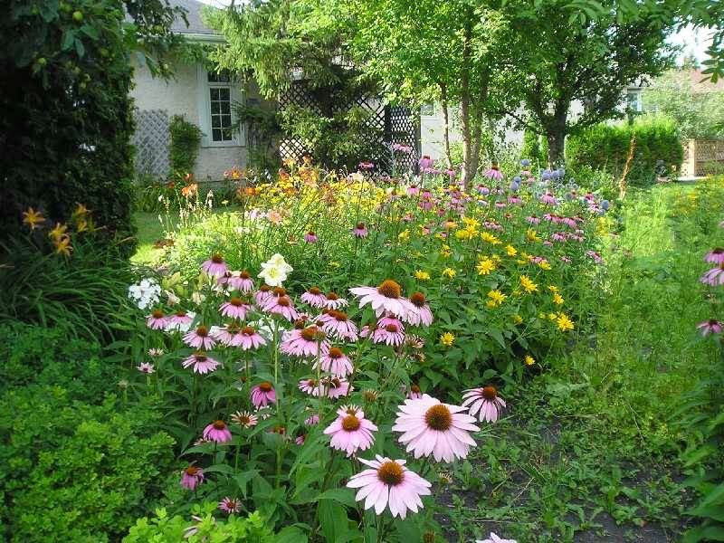 Algonquin Park Bed and Breakfast | 20 Wiebes Dr, Winnipeg, MB R2G 2G4, Canada | Phone: (204) 667-4068