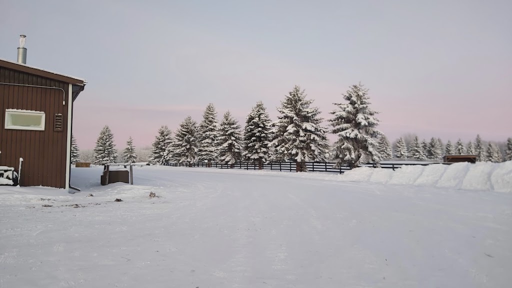 Ash Bren Equine Ltd. | 21069 Township Rd 524, Ardrossan, AB T8G 2C8, Canada | Phone: (780) 922-2033