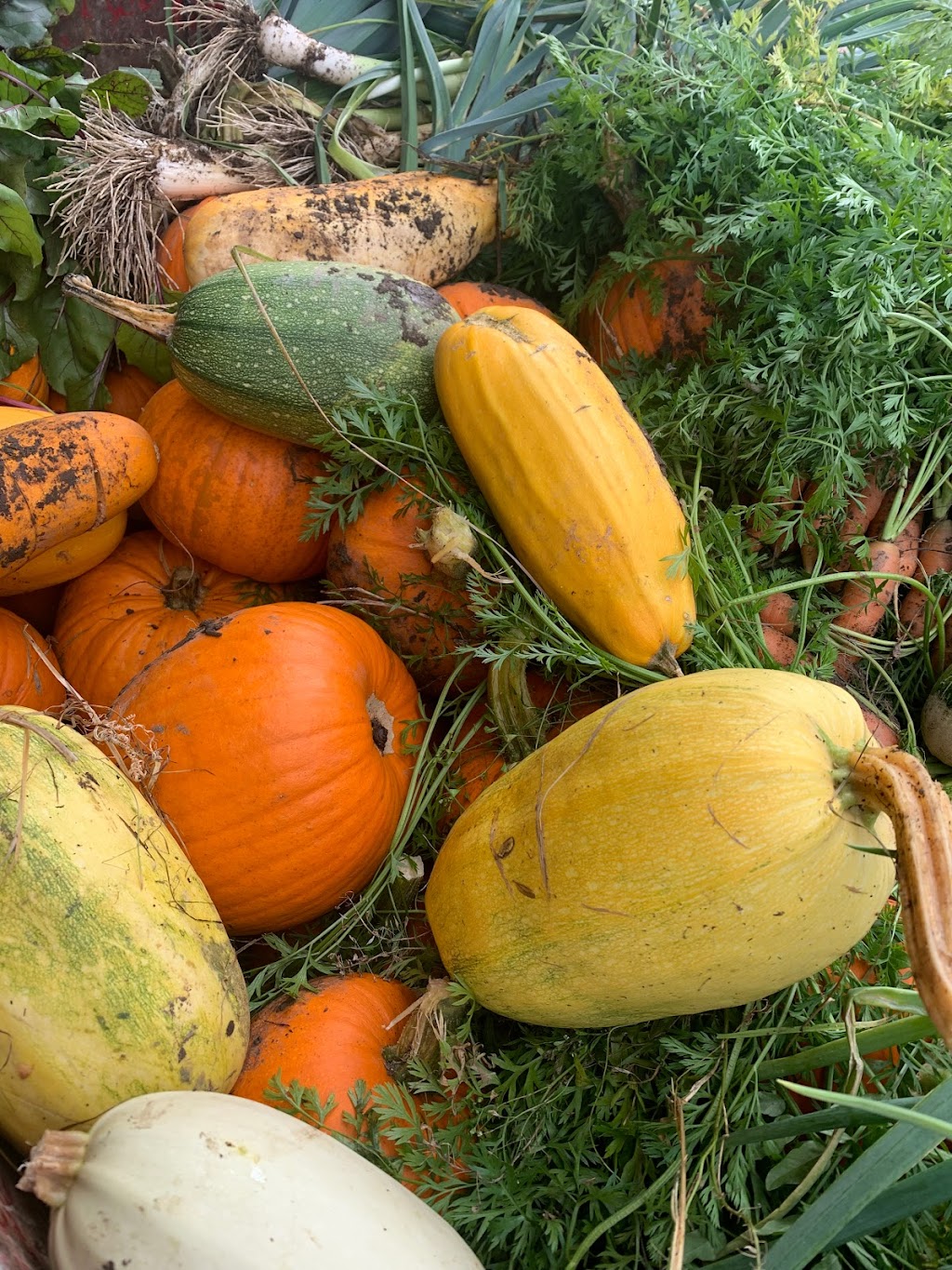 Ferme Paquet & Laliberté inc. | 3847 Avenue Notre Dame, Québec, QC G2G 0C4, Canada | Phone: (819) 998-8157
