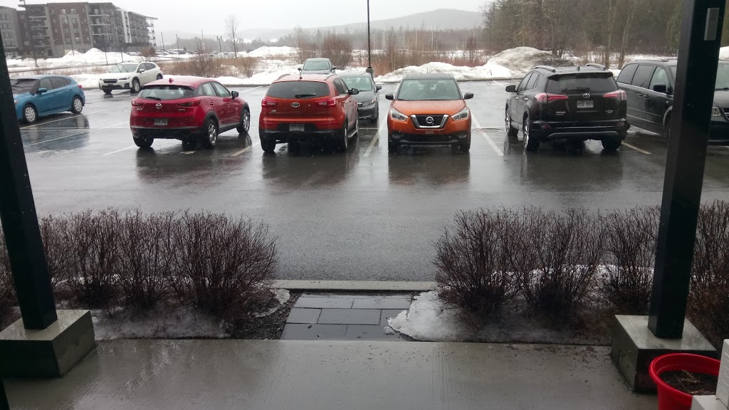Nelson | 111 Rue Jean-Besré, Cowansville, QC J2K 0L3, Canada | Phone: (450) 775-8987