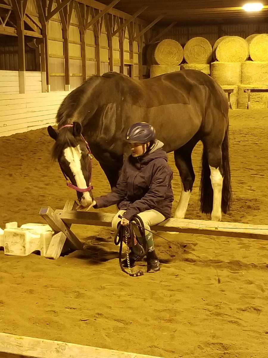 Dreamcrest Equestrian Services | 2130 Shirley Rd, Port Perry, ON L9L 1B3, Canada | Phone: (905) 985-1599