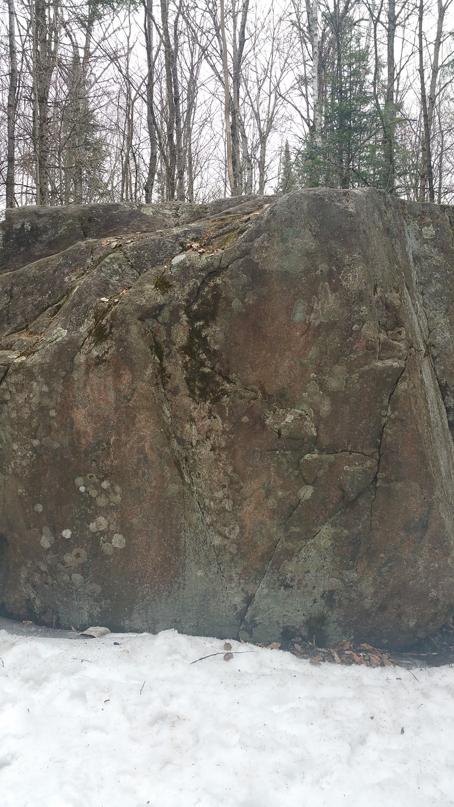 Medeba | 1270 Kennisis Lake Rd, West Guilford, ON K0M 2S0, Canada | Phone: (705) 754-2444