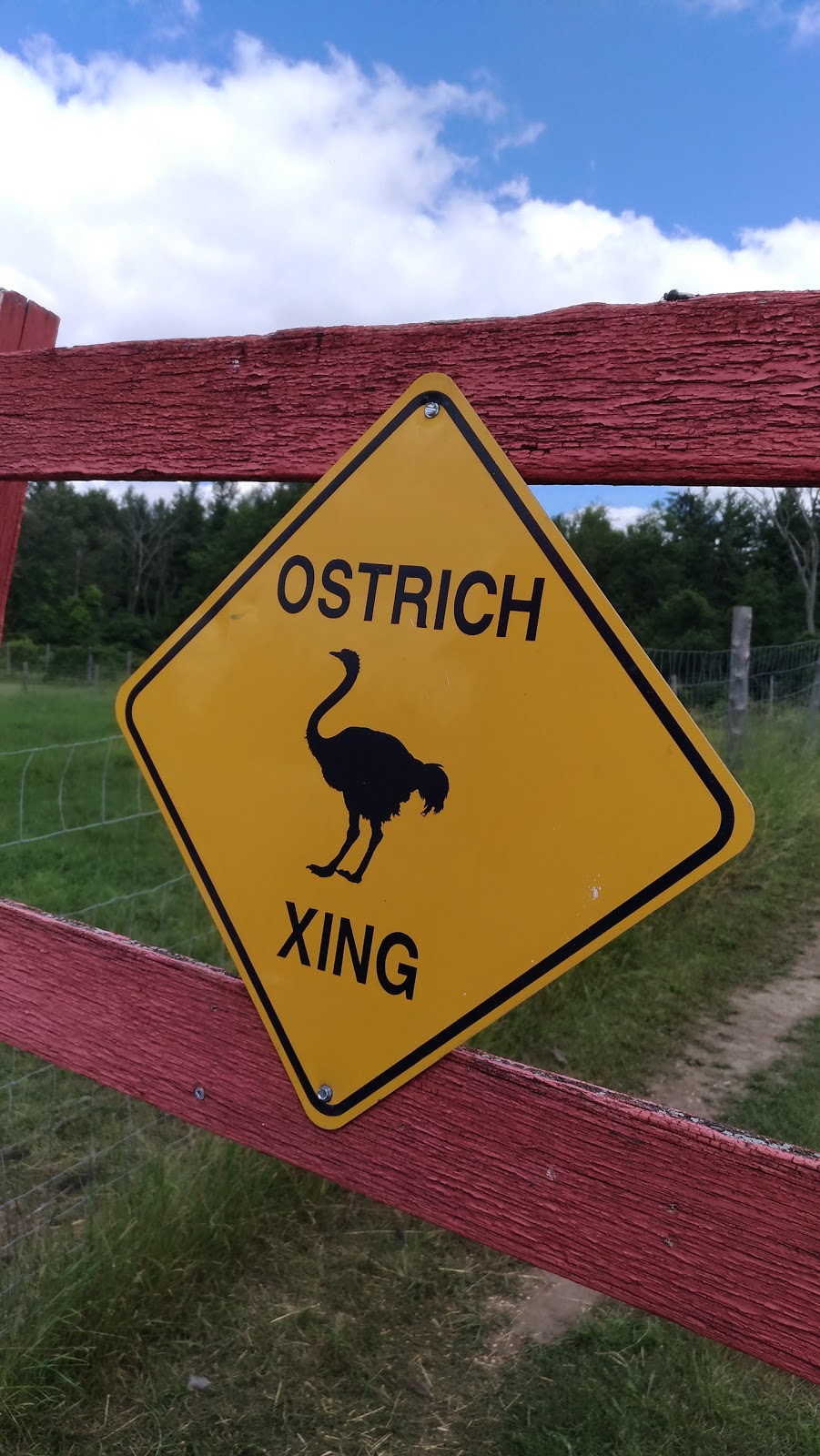 White Rock Ostrich Farm | point of interest | 13085 Fourth Line Nassagaweya, Campbellville, ON L0P 1B0, Canada | 5198562629 OR +1 519-856-2629