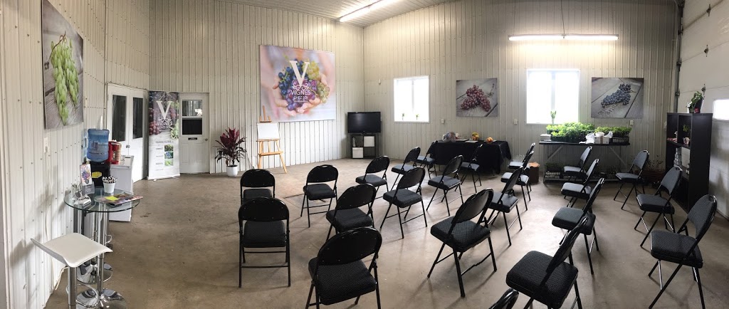 Vignes Chez Soi | 152 Chemin Milton, Granby, QC J2J 0P2, Canada | Phone: (450) 775-0482