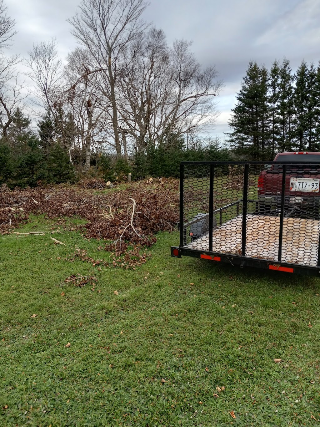 Bassetts Property Management Inc. | 30 Cameron Ave, Summerside, PE C1N 6P8, Canada | Phone: (902) 393-3079