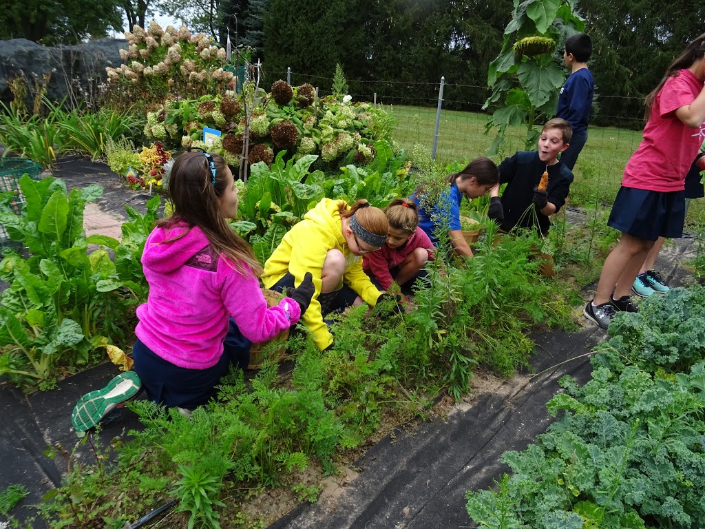 Stella Niagara Education Park | 4421 Lower River Rd, Stella Niagara, NY 14144, USA | Phone: (716) 754-4314