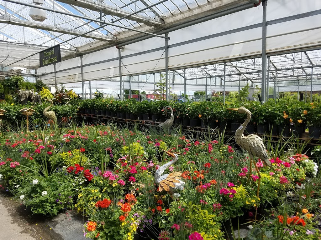 Garrys Garden Gallery | 5 Commerce Rd, Lindsay, ON K9V 5Y3, Canada | Phone: (705) 324-9574