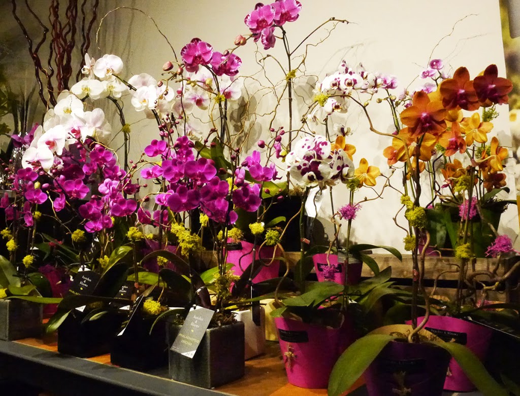 Bunches & Blooms Floral | 810 Quayside Dr #108, New Westminster, BC V3M 6B9, Canada | Phone: (604) 544-0996