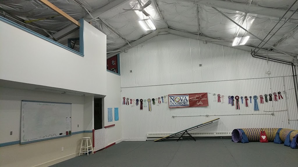 Nova Dogsport | 31 Weavers Lake Dr, Harrietsfield, NS B3V 1A4, Canada | Phone: (902) 402-4127