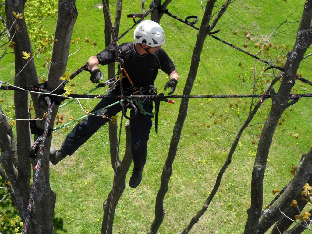 Arboriculteur Et Elagueur | 65 Rue Lorraine, Shefford, QC J2M 1X5, Canada | Phone: (450) 361-9845