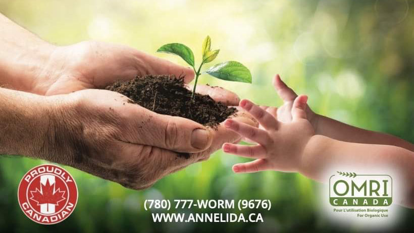 Annelida Casting Innovations | 31 Goertz Ave, Stony Plain, AB T7Z 0H6, Canada | Phone: (780) 777-9676