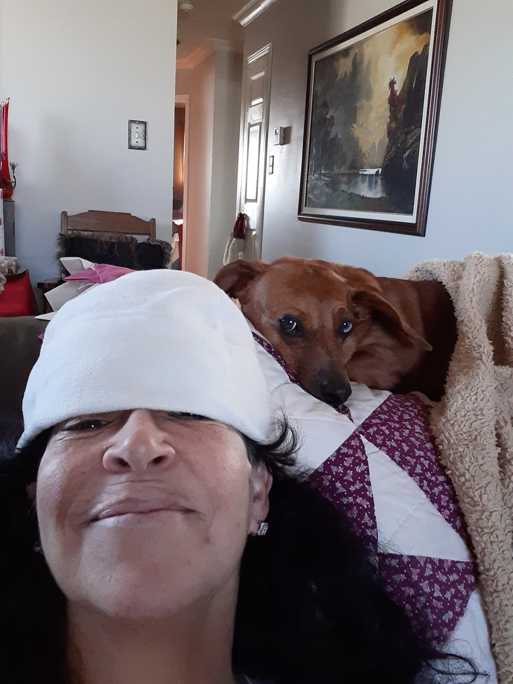 Sherbrooke Heights Animal Hospital | 1625 Sherbrooke St, Peterborough, ON K9K 0E6, Canada | Phone: (705) 745-5550