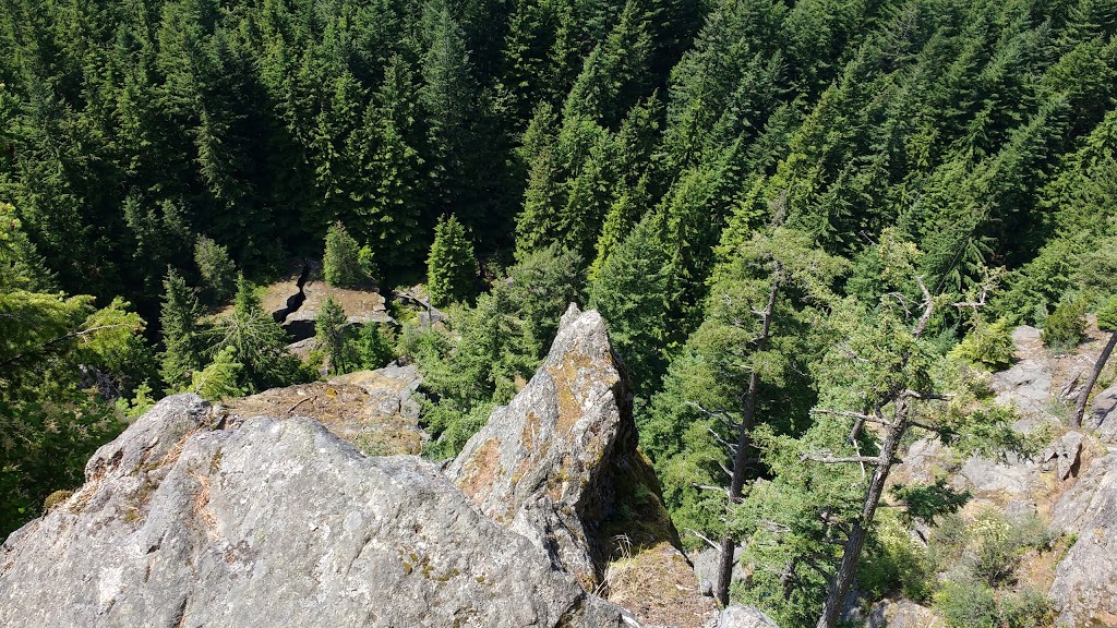 Oyster Dome | 11571 Blue Heron Rd, Bow, WA 98232, USA