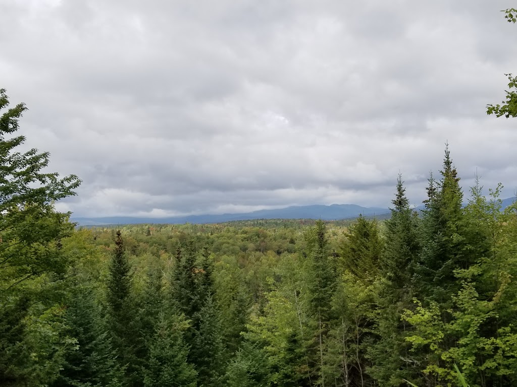 Silvio O. Conte National Fish and Wildlife Refuge - Nulhegan Bas | 5396 VT-105, Brunswick, VT 05905, USA | Phone: (802) 962-5240