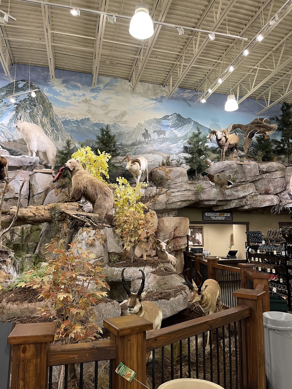 Cabelas | clothing store | 1818 McCallum Rd, Abbotsford, BC V2S 0H9, Canada | 6044251800 OR +1 604-425-1800
