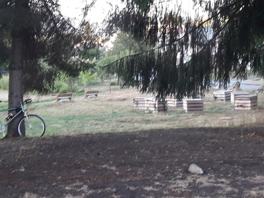 Copley Community Orchard | 3587 Copley St, Vancouver, BC V5N 5B2, Canada