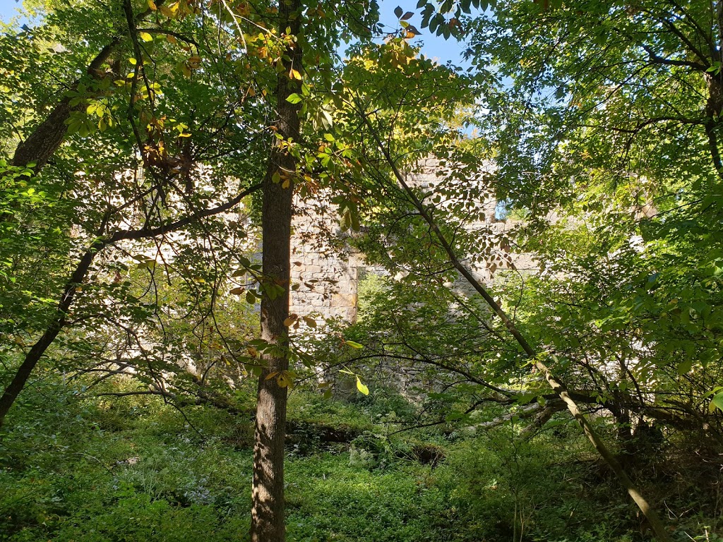 Cambridge to Paris Rail Trail - Glen Morris Trail Access | Forbes St, Glen Morris, ON N0B 1W0, Canada | Phone: (519) 621-2761