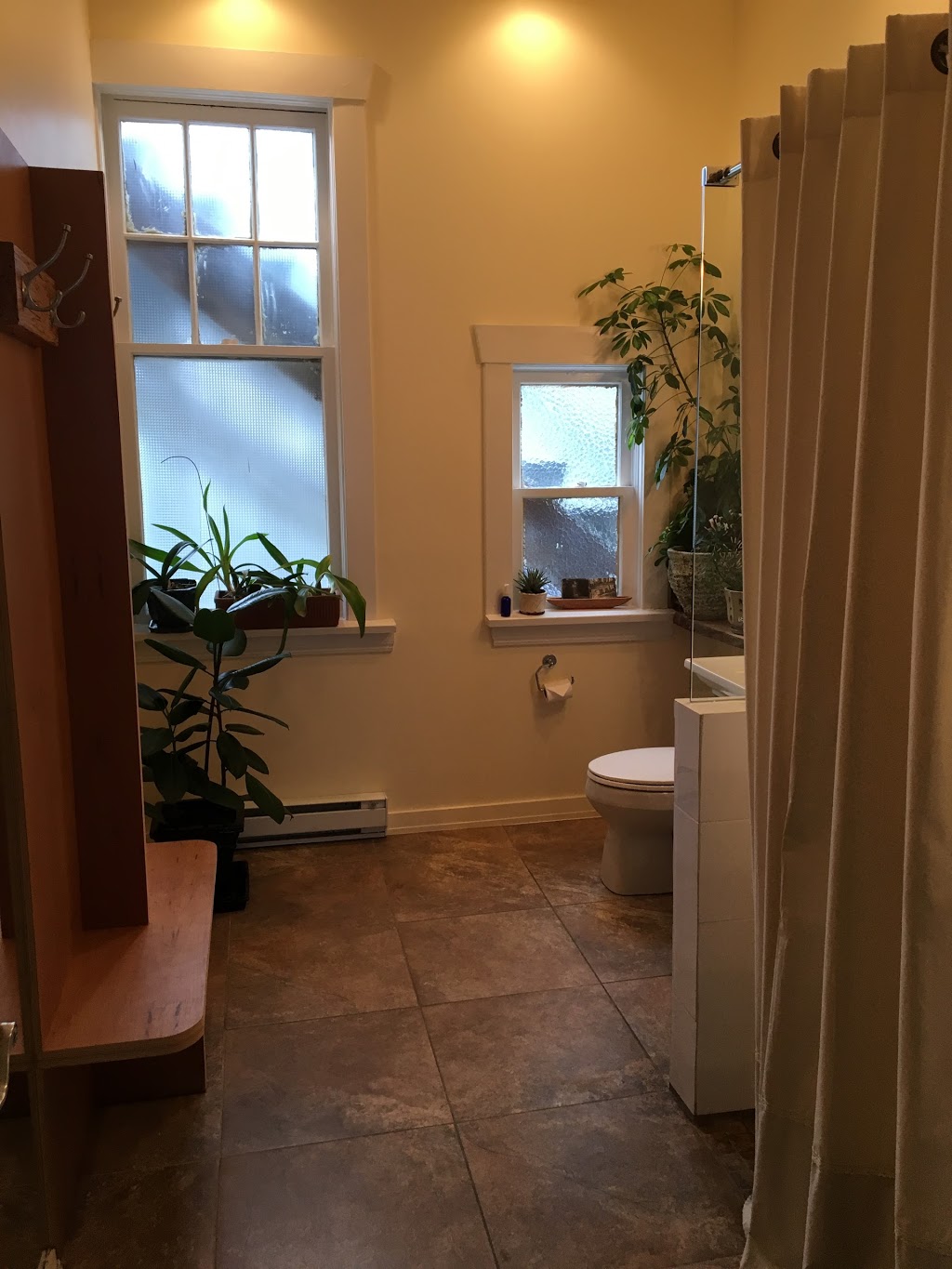 Backhealer | 3586 W 4th Ave, Vancouver, BC V6R 1N7, Canada | Phone: (604) 366-4743