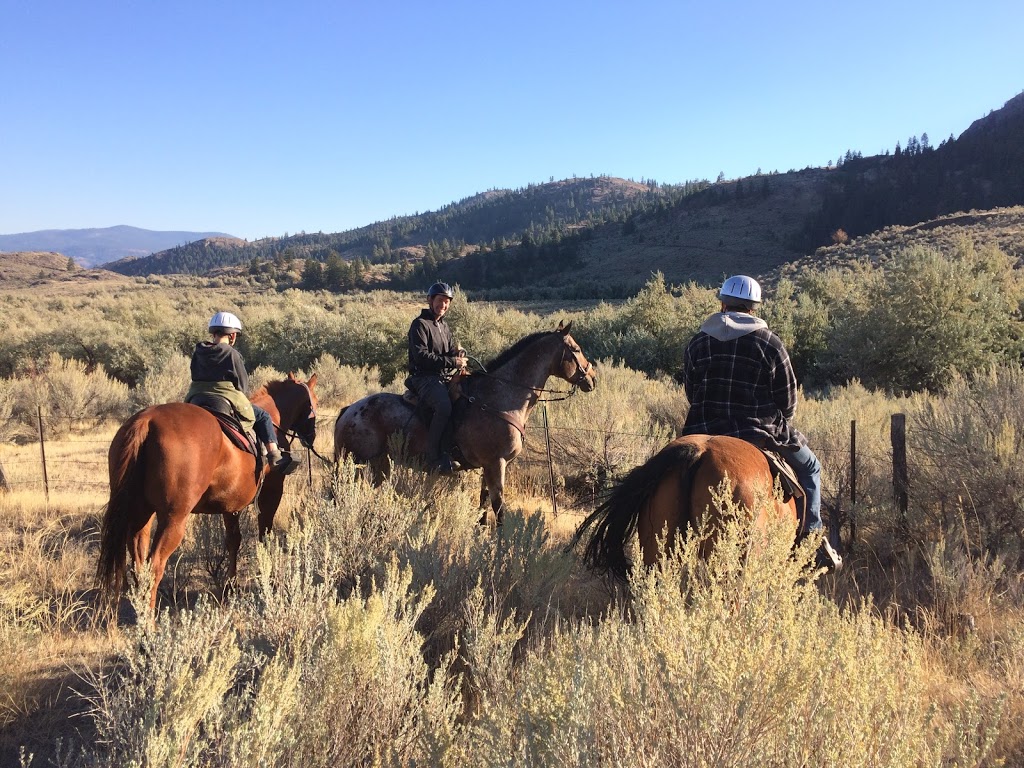 Sun Hills Riding Centre | 3800 Golf Course Dr, Osoyoos, BC V0H 1V4, Canada | Phone: (250) 408-9990