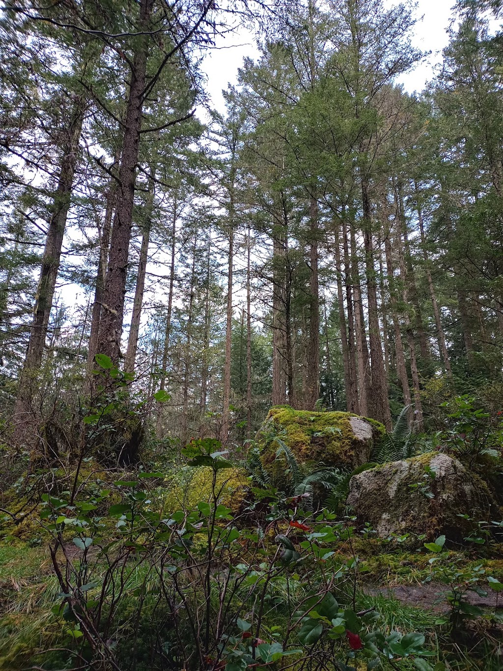 Homesite Creek / Secret Cove Recreation Area | 9844 Sunshine Coast Hwy, Halfmoon Bay, BC V0N 1Y2, Canada | Phone: (604) 883-9307