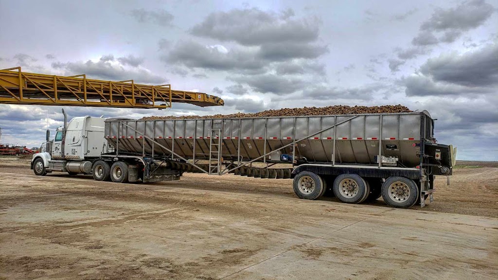 JEB Transport Ltd | 5502 48 Ave, Taber, AB T1G 1S4, Canada | Phone: (587) 494-9911