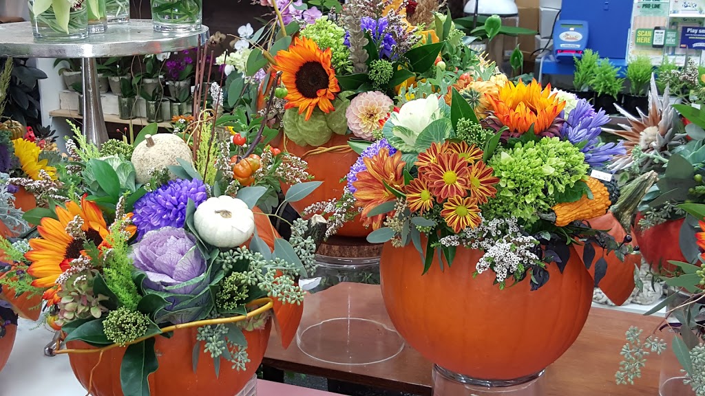 Forever Blooming | 1107 Lorne Park Rd, Mississauga, ON L5H 3A1, Canada | Phone: (905) 274-0866