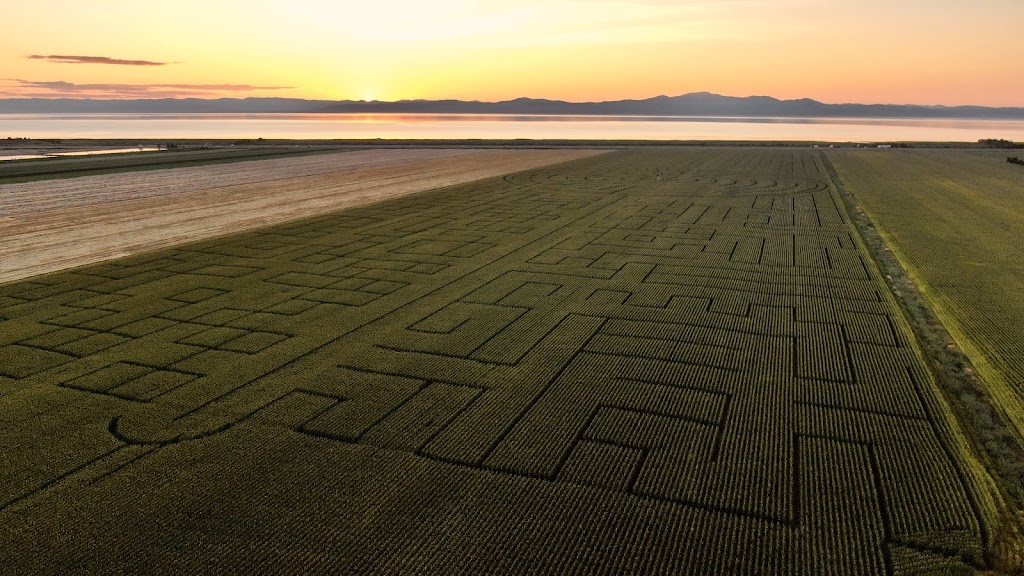 Grand labyrinthe Kamouraska | 1210 QC-132, La Pocatière, QC G0R 1Z0, Canada | Phone: (418) 790-2022