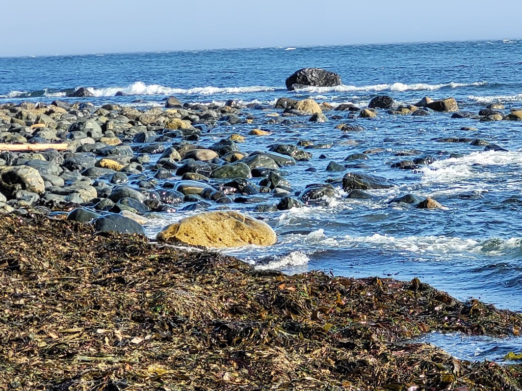 China Beach Campground | Capital, BC V0R 2N0, Canada | Phone: (250) 474-1336