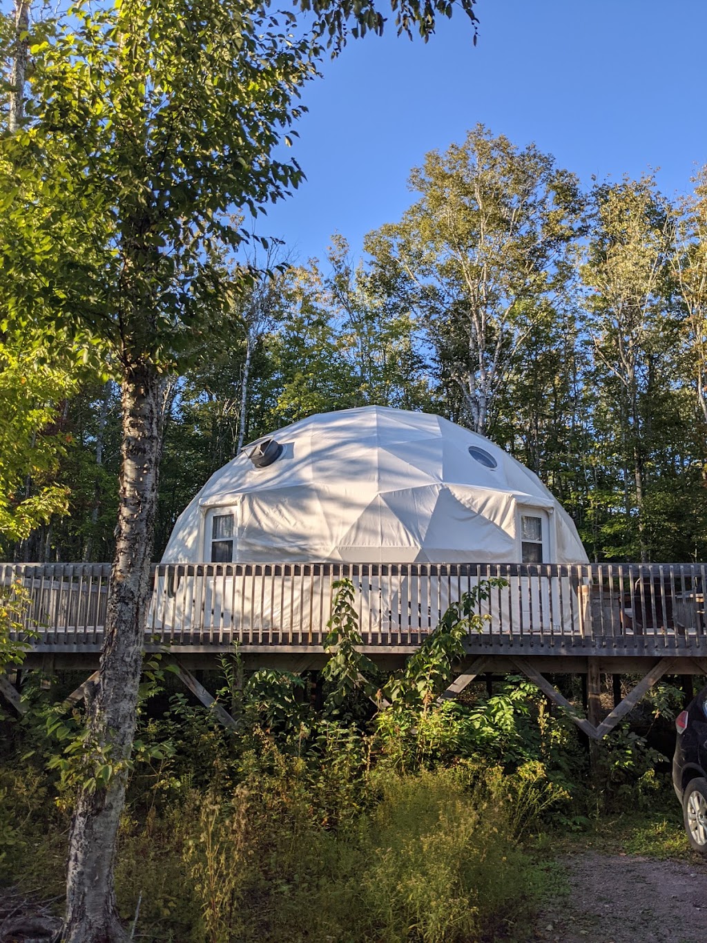 Treetop Haven | 1210 Mt Tryon Rd, Albany, PE C0B 1A0, Canada | Phone: (902) 439-0267