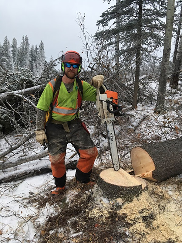 Arbor Life Tree Care | 3 Washington St, Norwich, ON N0J 1P0, Canada | Phone: (519) 860-5914