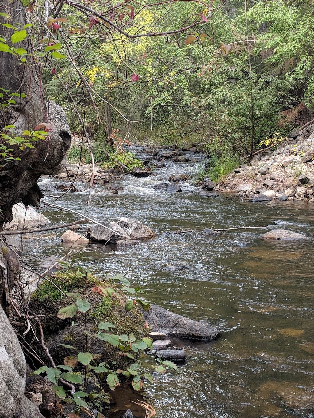 Trout Creek Crossing Recreation site (Summerland) | 1Z8, Kettle Valley Rail Trail, Summerland, BC V0H 1Z8, Canada