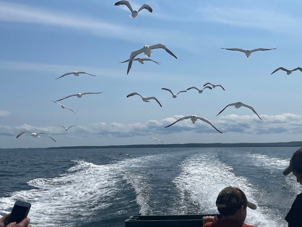 Bearded Skipper Deep Sea Fishing | Wharf, Wharf Rd, North Rustico, PE C0A 1X0, Canada | Phone: (902) 963-2334