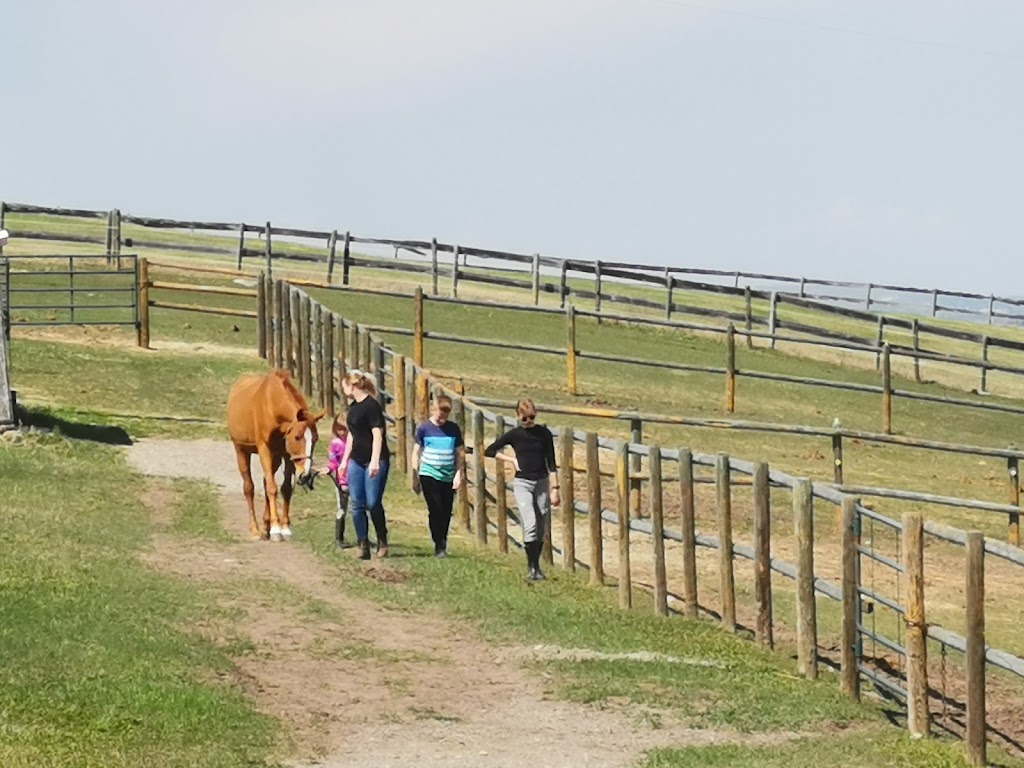 Ironstone Farms | 274117 112 St W, Alberta T1S 0W5, Canada | Phone: (403) 703-4219