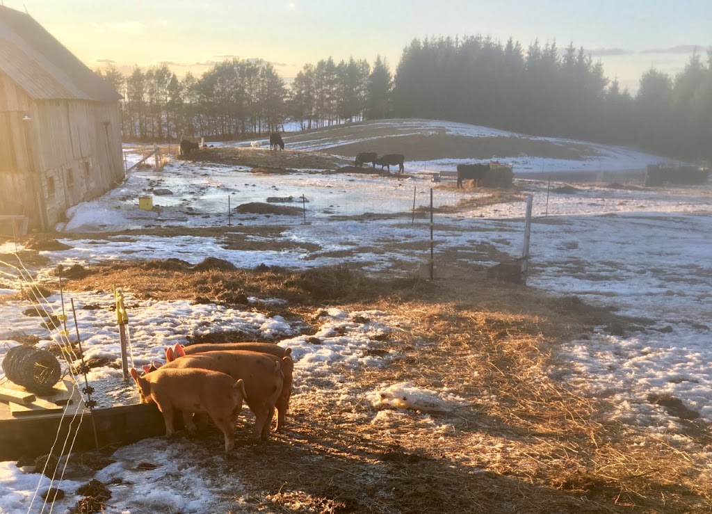 la fermière folle | 17 Chemin Mccoshen, Campbells Bay, QC J0X 1K0, Canada | Phone: (819) 208-8122