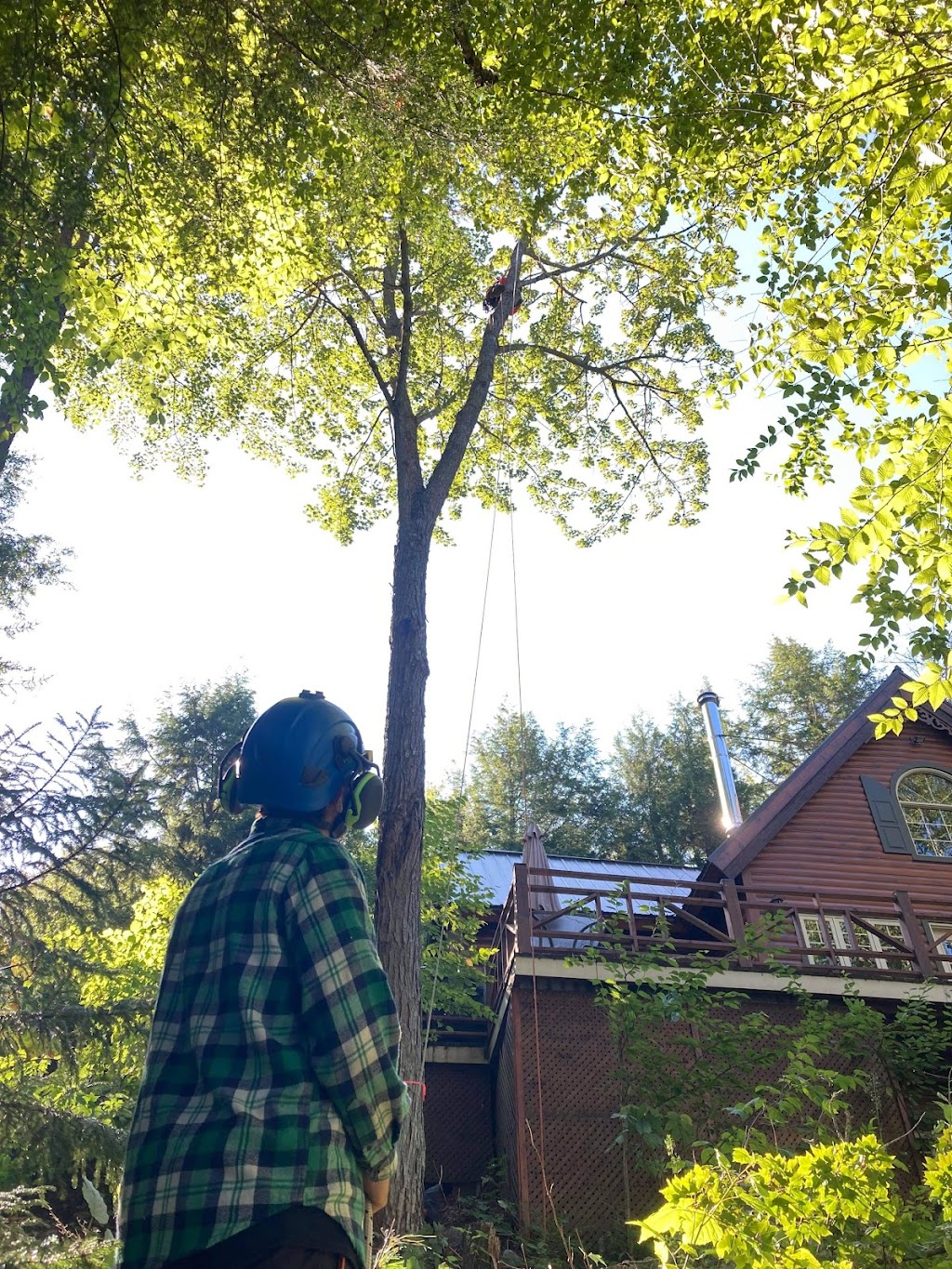 Arboriculture St-Germain | 1296 Rang Saint-Achille, Saint-Ubalde, QC G0A 4L0, Canada | Phone: (418) 326-0517