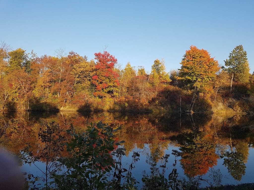 Domaine Laurentien | Rue des Malards, Sainte-Anne-des-Lacs, QC J0R 1B0, Canada