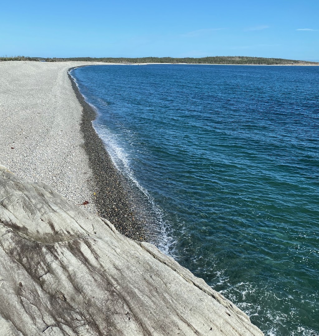 Sober Island Boat Tours | 73 Levys Rd, Sheet Harbour, NS B0J 3B0, Canada | Phone: (902) 817-5389