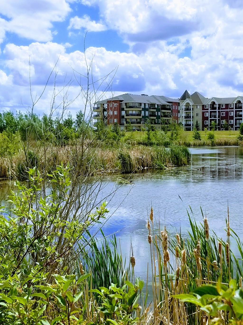 Briarwood Park | 1015 Briarwood Rd, Saskatoon, SK S7V 1K7, Canada | Phone: (306) 975-3300