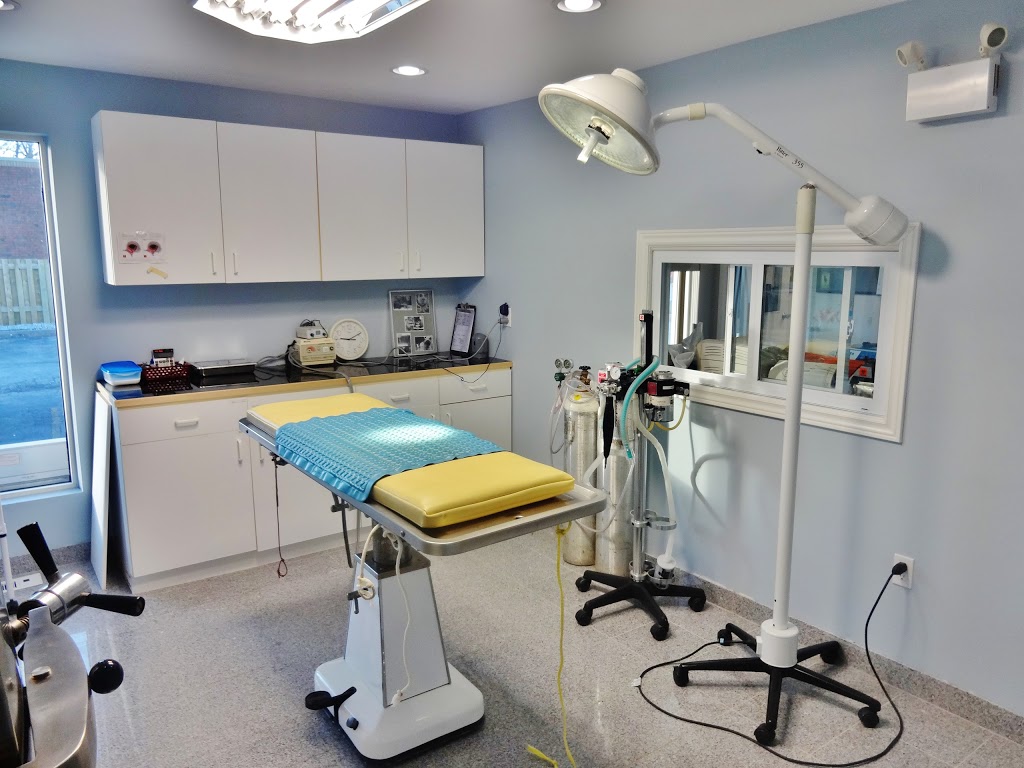Belle River Animal Clinic | 576 Broadway St, Belle River, ON N0R 1A0, Canada | Phone: (519) 728-3221