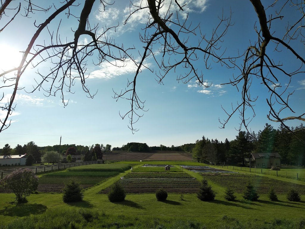 Milky Way Farm | 484872 Sweaburg Rd, Woodstock, ON N4S 7V6, Canada | Phone: (647) 268-0300