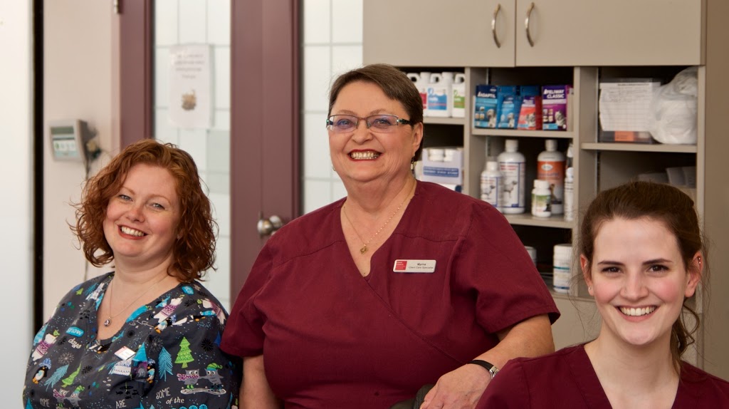 Town Centre Veterinary Hospital | 1502 Lakewood Rd W Northwest, Edmonton, AB T6K 3J4, Canada | Phone: (780) 496-9065