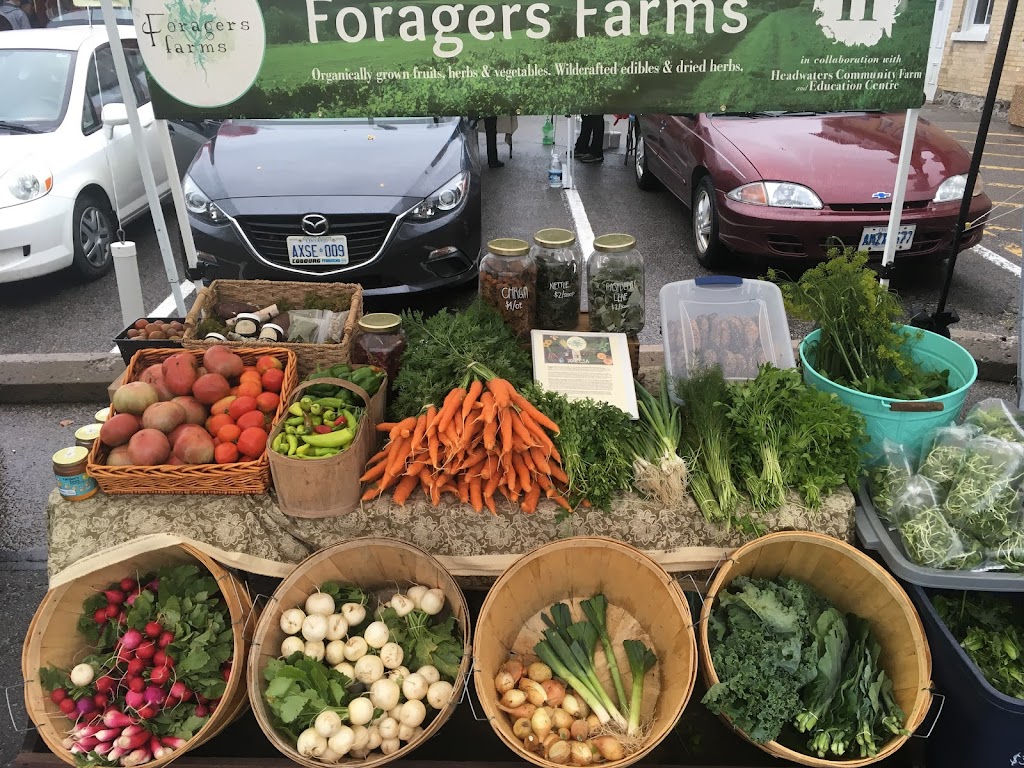Foragers Farms | 3517 Rowe Rd, Cobourg, ON K9A 4J7, Canada | Phone: (905) 999-3243