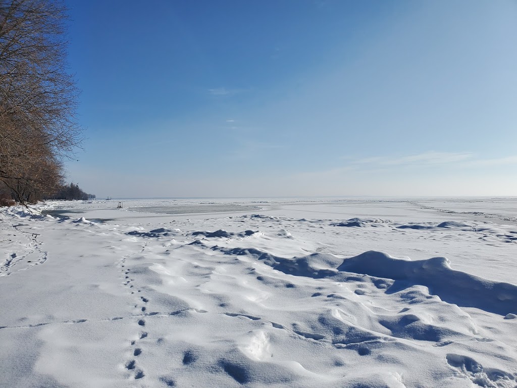 Bayshore Village Association | Hayloft Ln, Ramara, ON L0K 1B0, Canada | Phone: (705) 484-0754