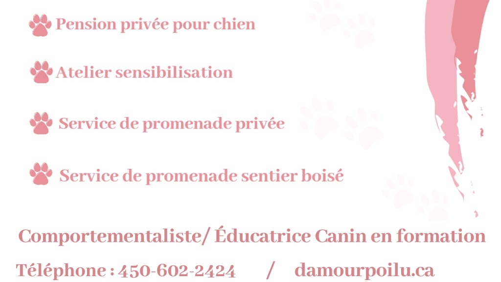 Damour Poilu | 1284 Rue Moncharme, Sainte-Julienne, QC J0K 2T0, Canada | Phone: (450) 602-2414