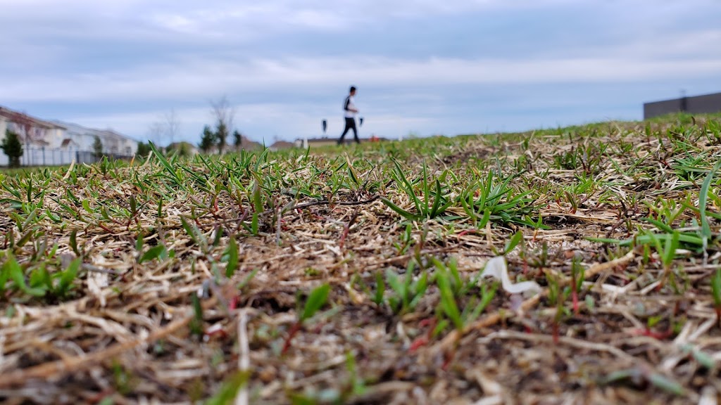 Foot Guards Park | 226 Leamington Way, Nepean, ON K2J 3V1, Canada