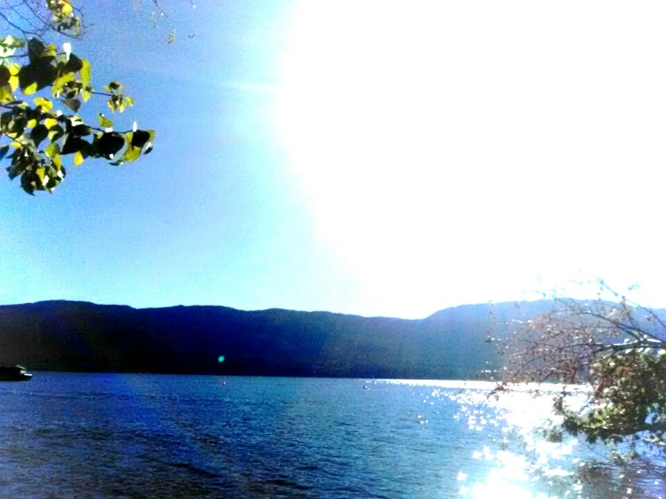 Pixton rd beach | rd 1a1, 12575 Pixton Rd, Lake Country, BC V4V 1A1, Canada