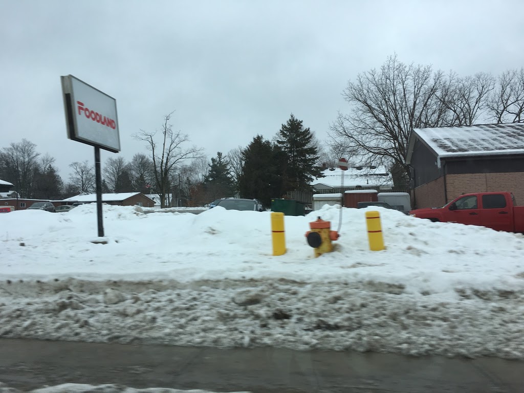 Foodland - Rockwood | 209 Alma St, Rockwood, ON N0B 2K0, Canada | Phone: (519) 856-2577