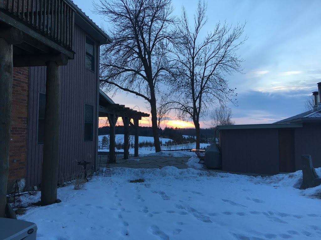 Jecara Farms | 10th, 15580 Concession Rd 11, Schomberg, ON L0G 1T0, Canada | Phone: (905) 859-2337